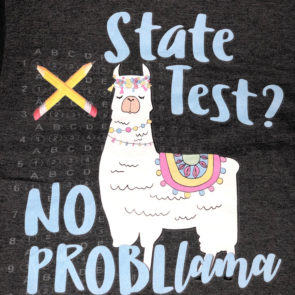 StateTest ? No Prob Llama Premium T-Shirt Medium